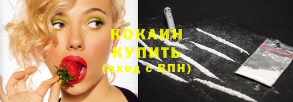 прущие грибы Абинск