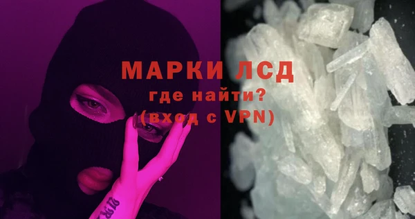прущие грибы Абинск