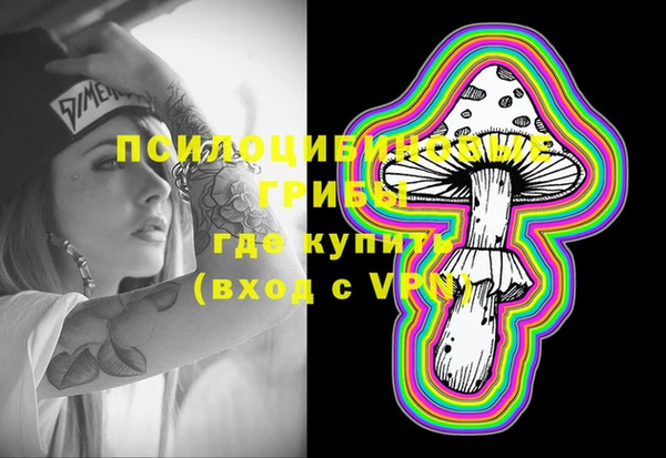 прущие грибы Абинск