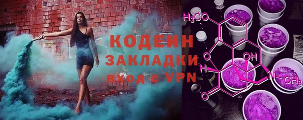 прущие грибы Абинск