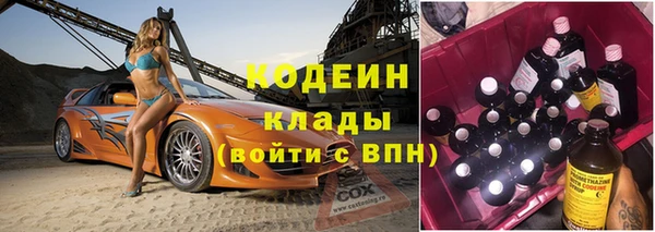 прущие грибы Абинск