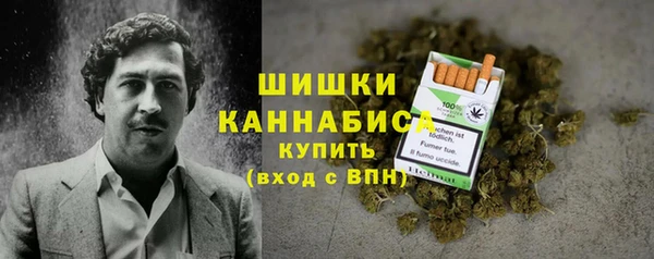 прущие грибы Абинск
