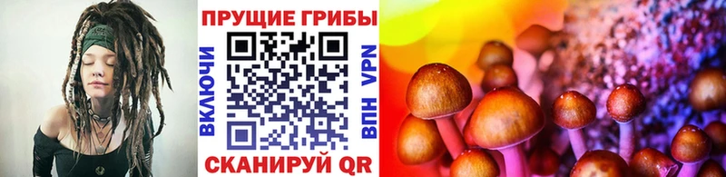 закладки Нижневартовск hydra зеркало Псилоцибиновые грибы GOLDEN TEACHER