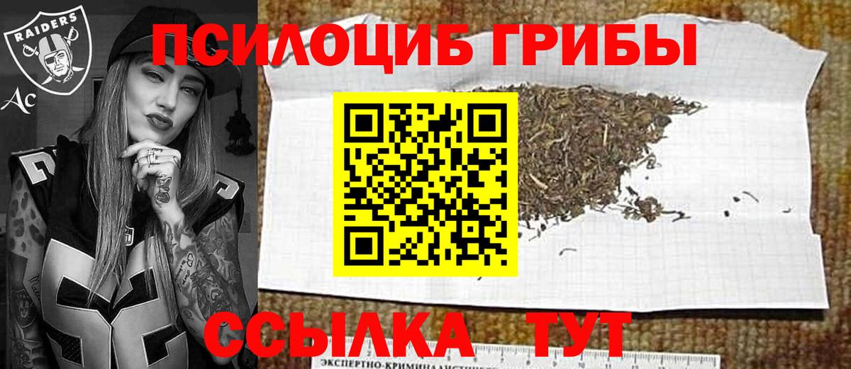 Галлюциногенные грибы Cubensis Нижневартовск